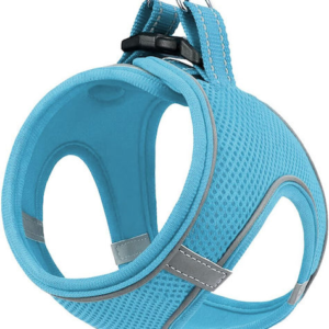 ZAMPA ΣΑΜΑΡΑΚΙ AIR-MESH XS BLUE